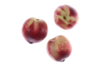 נקטרינה לבנה