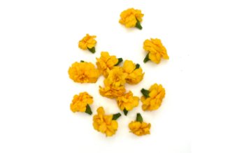 טאגטס צהוב