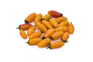 עגבניה ארלקינו שרי טייגר