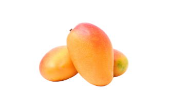 מנגו דויד
