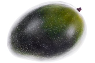 מנגו ירוק - בוסר