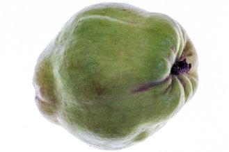 חבוש