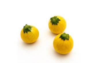 זוקיני צהוב עגול