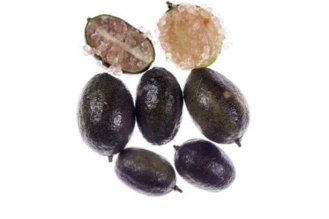 פינגר ליים