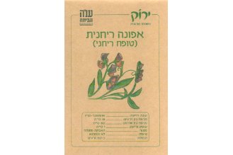 זרעי אפונה ריחנית