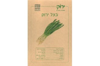 זרעי בצל ירוק