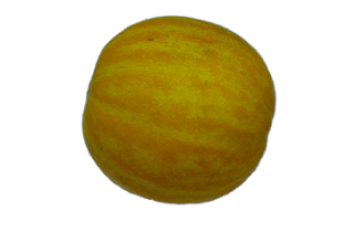 מלון בון בון
