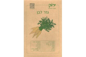 זרעי גזר לבן