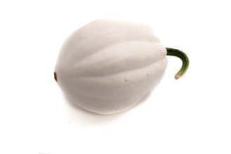 דלעת שלג