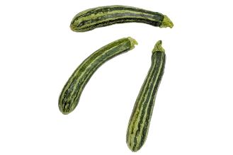זוקיני זברה