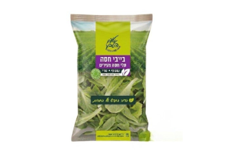 בייבי חסה – לקט עלי חסה צעירים