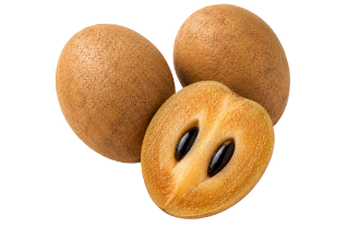 ספודילה