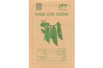 זרעי אפונת שלג קטנה