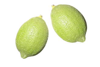 לימון יוריקה אלן
