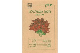 זרעי חסה מסולסלת אדומה