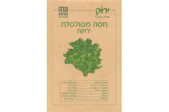 זרעי חסה מסולסלת ירוקה