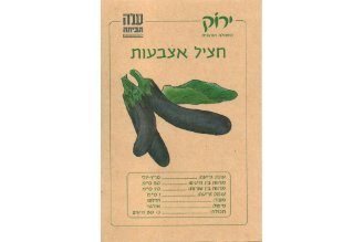 זרעי חציל אצבעות