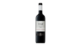 יין אדום - מרלו 2021 - טוליפ