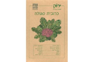 זרעי כרובית סגולה