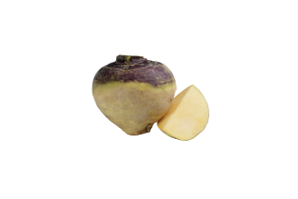 שורש רוטבגה