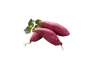 בטטה מיני