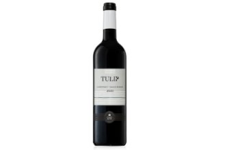 יין אדום - קברנה סוביניון - טוליפ