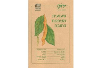 זרעי שעועית מטפסת צהובה