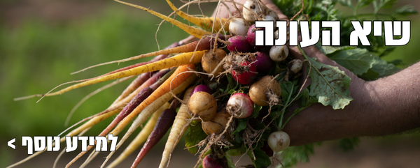 הכי מיוחד שיש