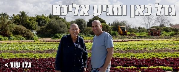 תוצרת מקומית