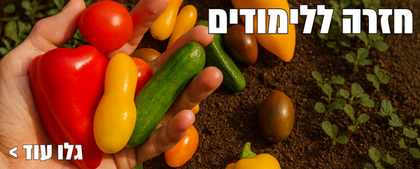 חוזרים ללימודים עם עלה הביתה