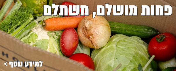 פחות מושלם, משתלם