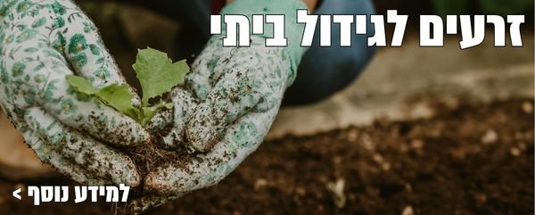 זרעים