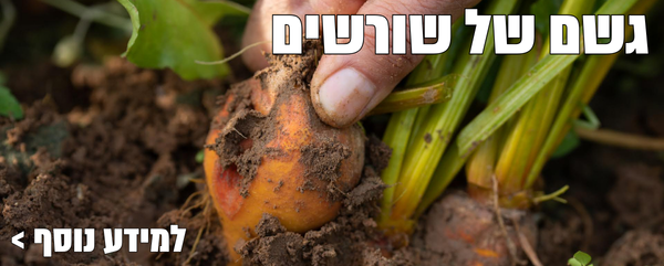 החורף כבר כאן