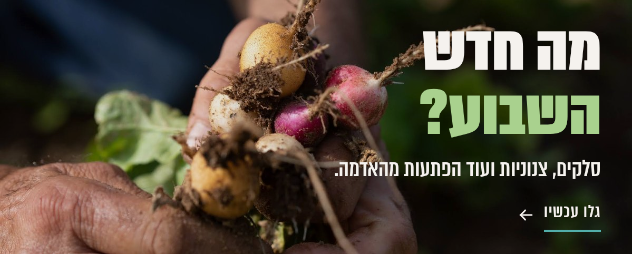חדש בעלה